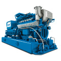 MWM Coalbed Gas Generator